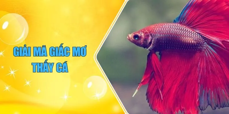 giải mã giấc mơ thấy cá