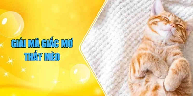 giải mã giấc mơ thấy mèo
