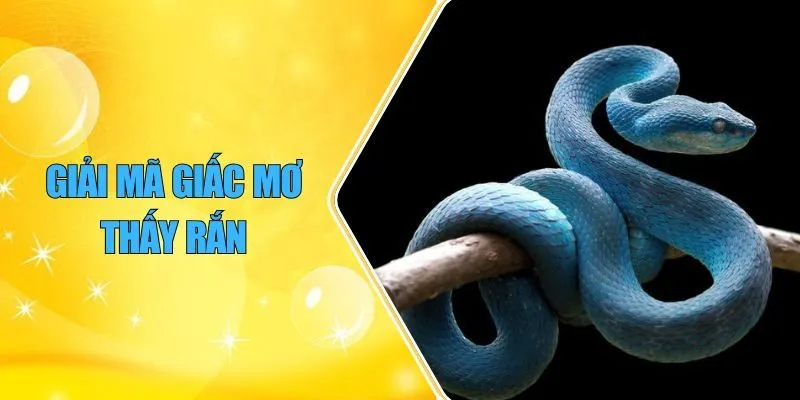 Giải Mã Giấc Mơ Thấy Rắn